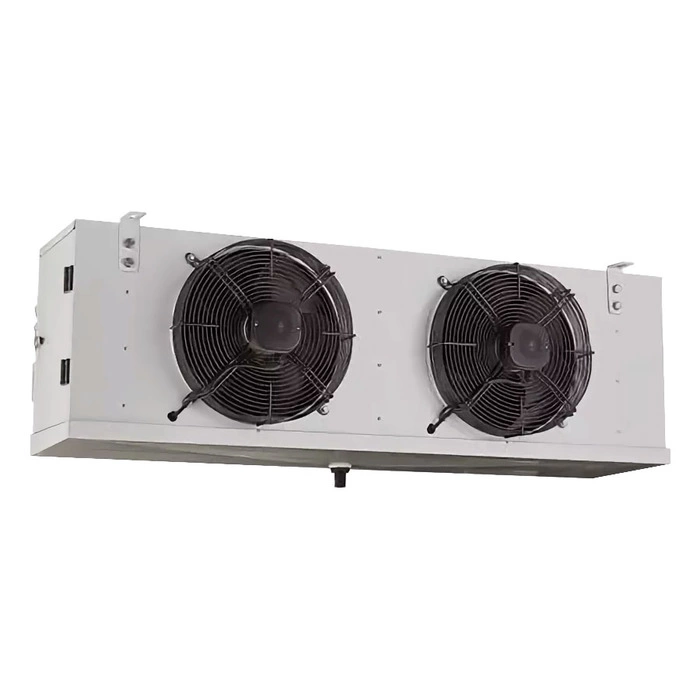Belluno iP-4F Belluno iP-4F